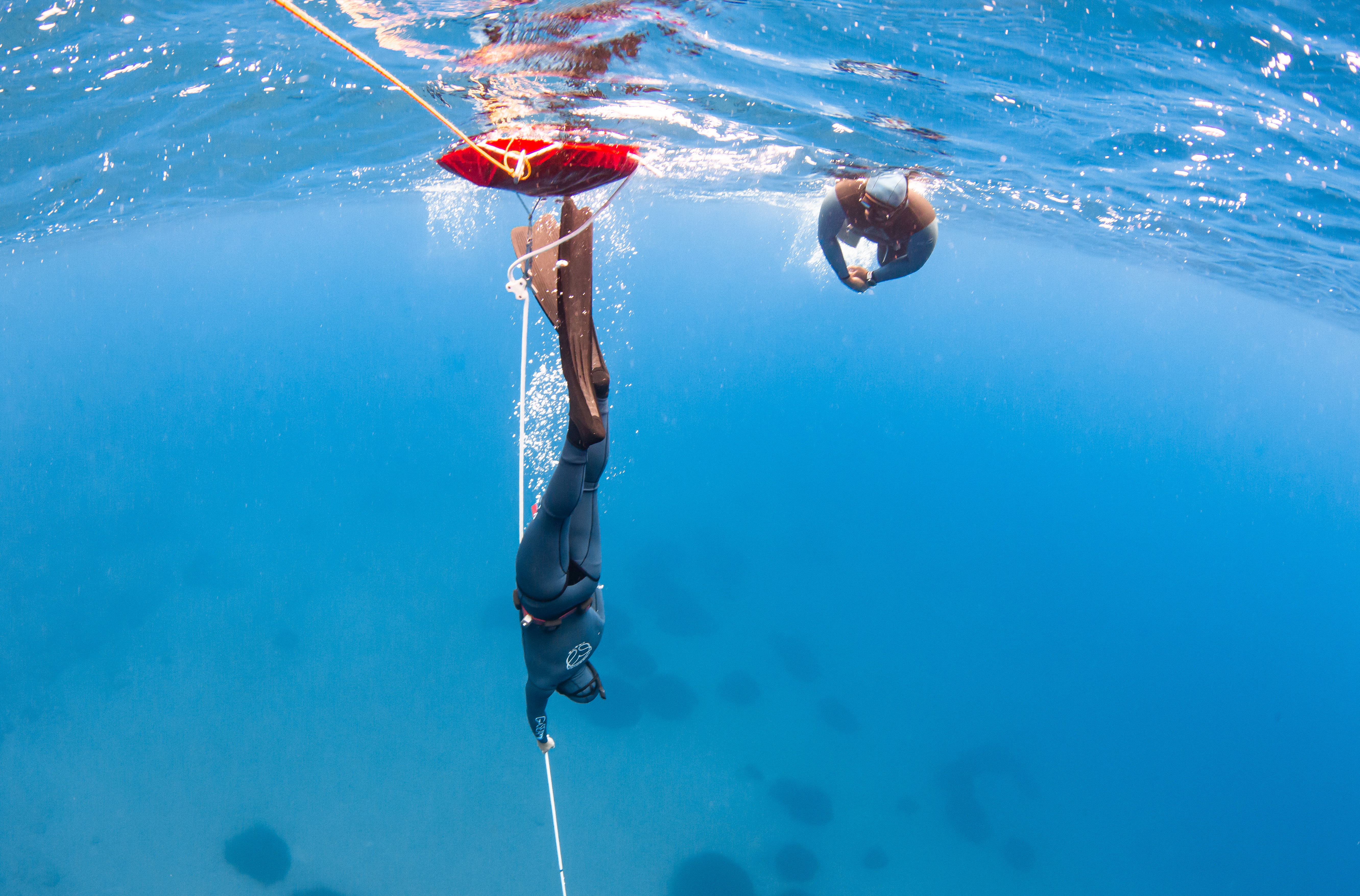 Discovery Freediving