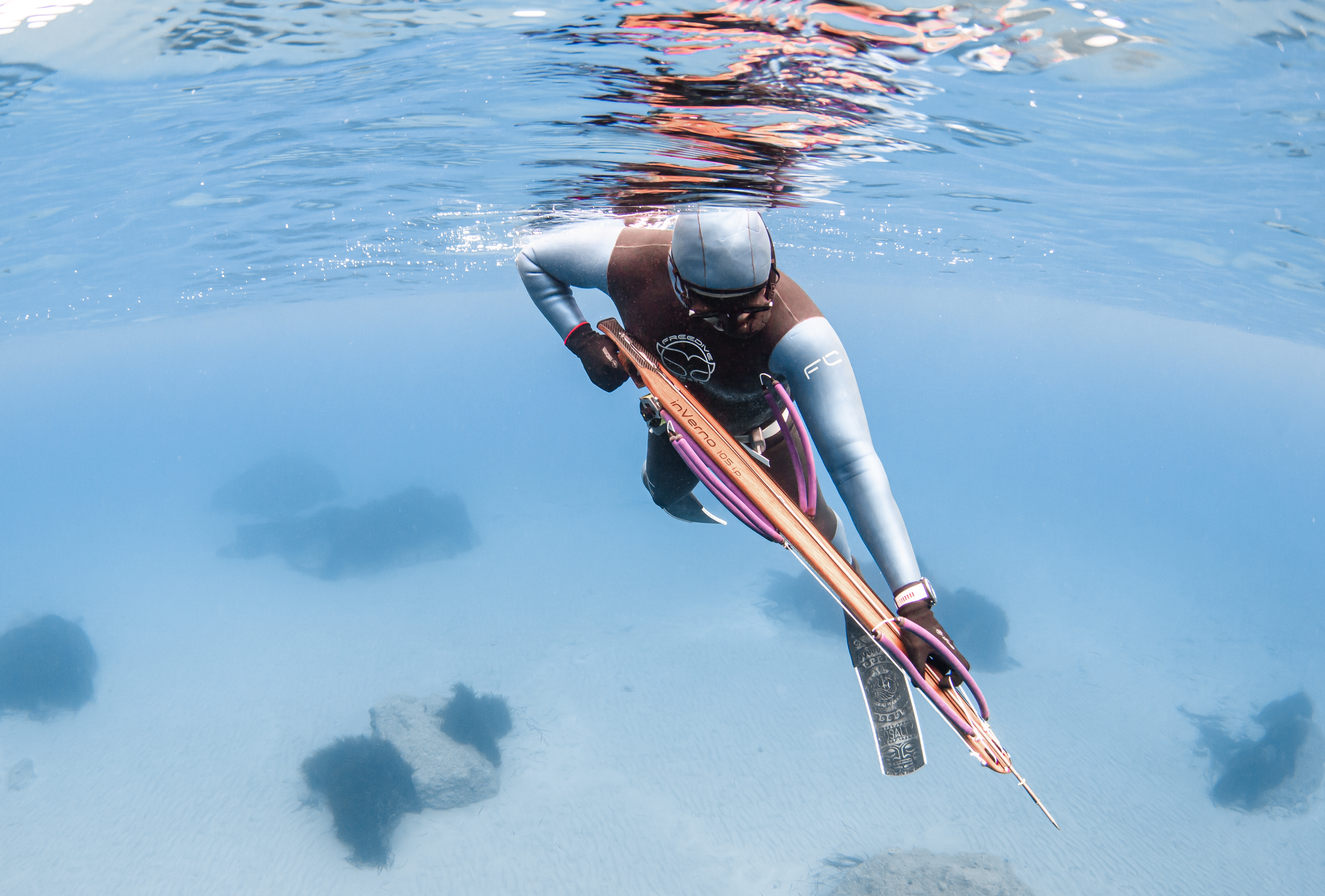 Speerfischen Level 3 - Meister-Spearo