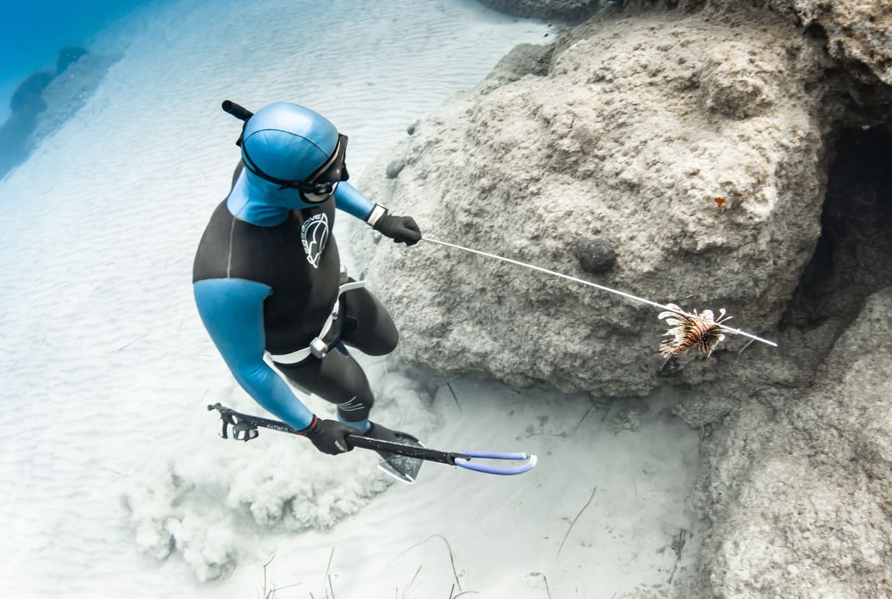 Spearfishing technique practice in open water