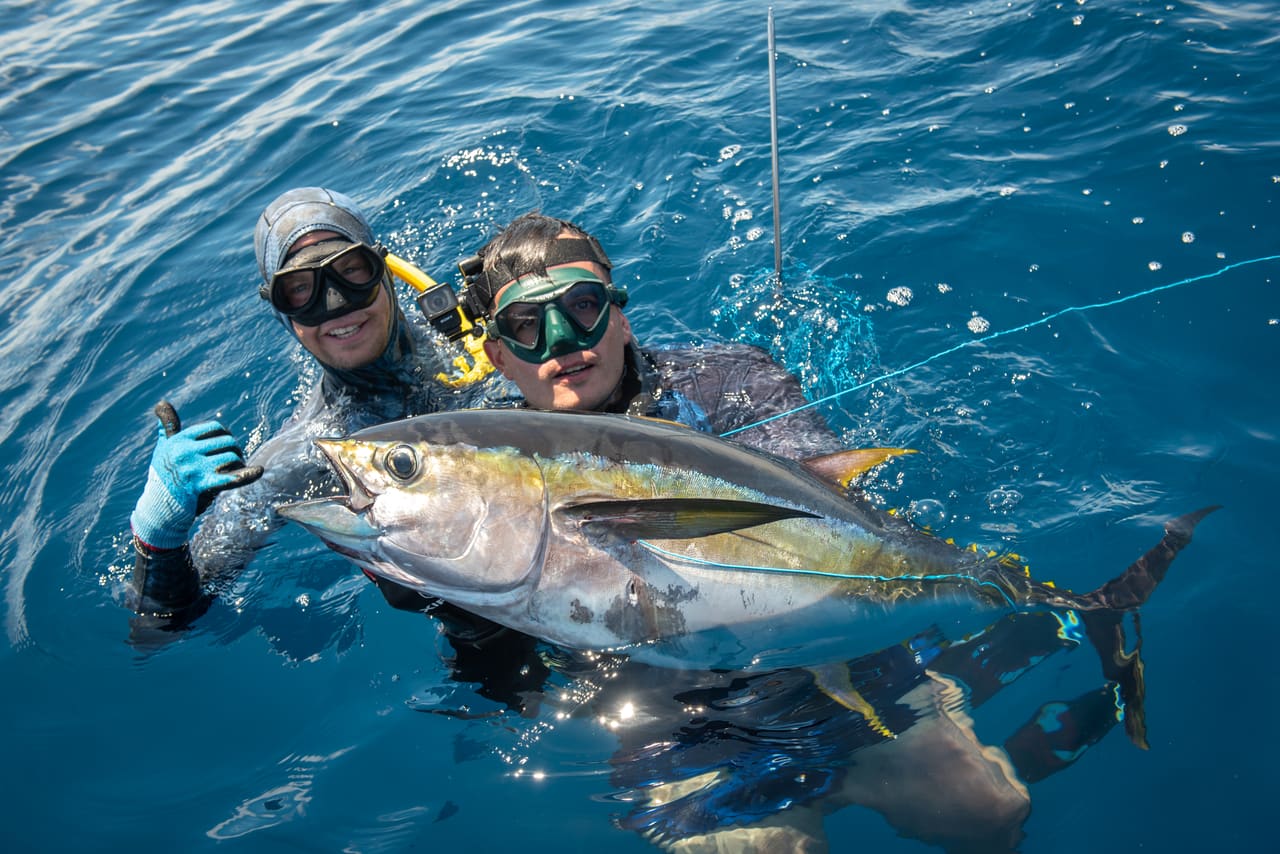 Koučink spearfishingu - Diving services in Plakias, Crete