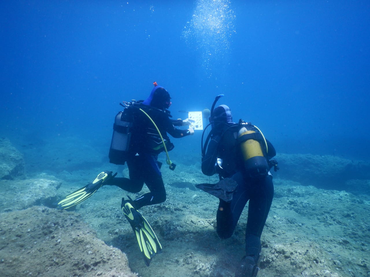 An instructor running a skills session in shallow water