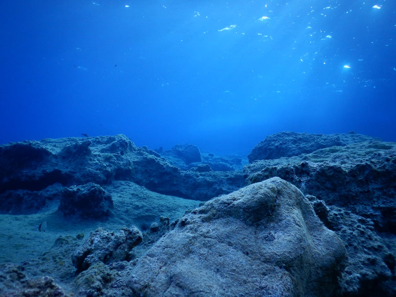 A shallow reef sloping into blue water at Peristerovolakas